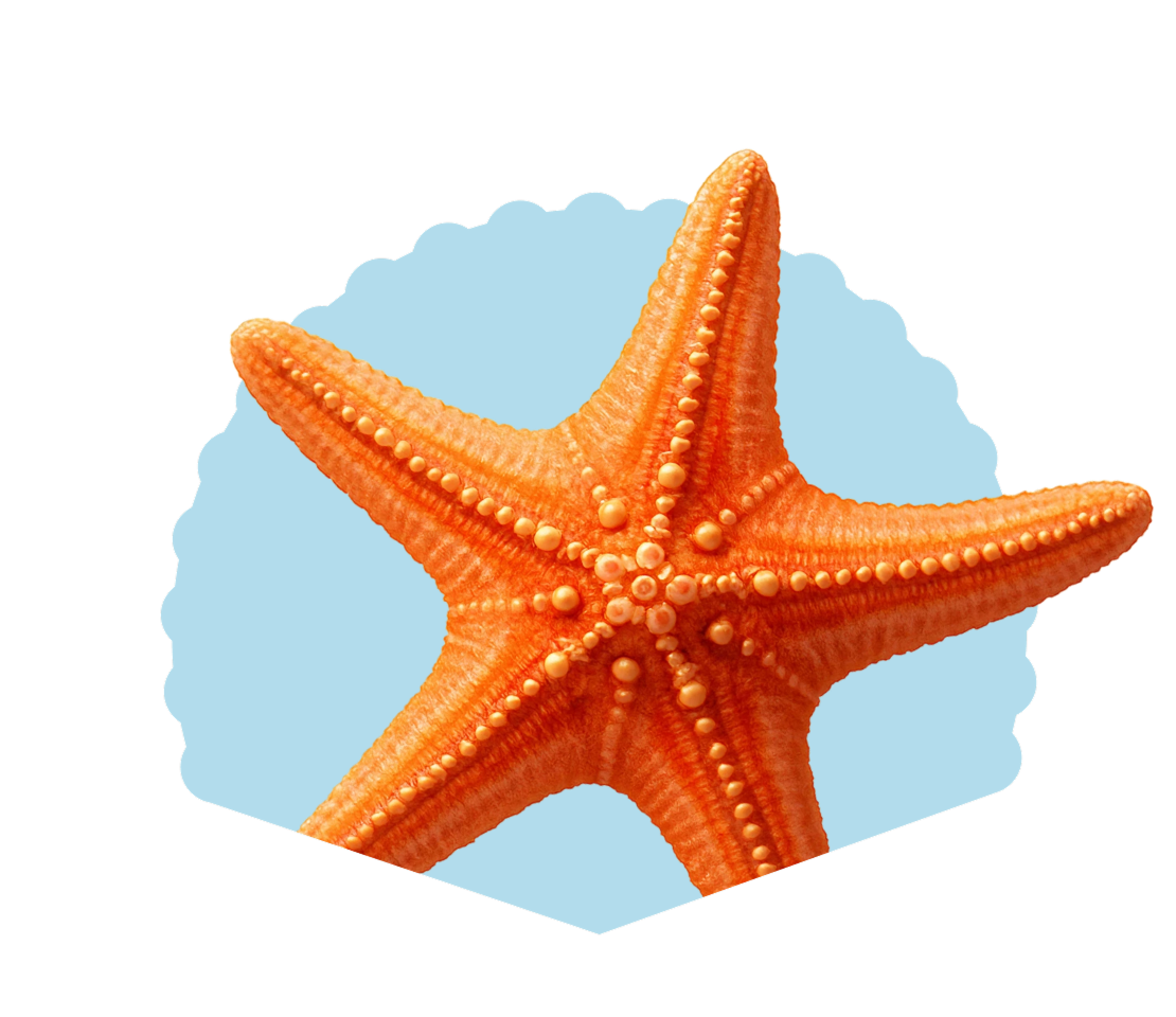 Персональные решения