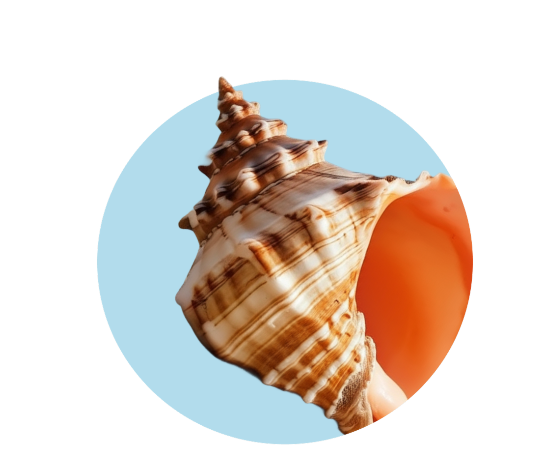 Счёт эскроу